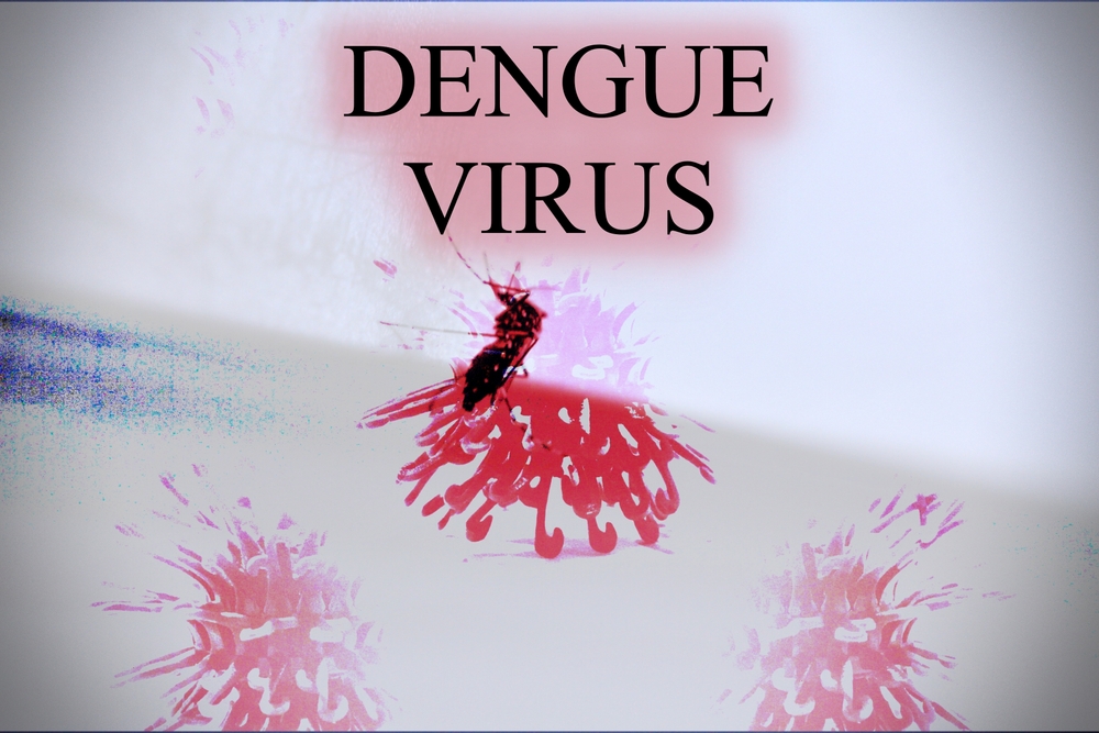 Understanding Dengue Fever: Symptoms, Prevention, and Treatment Options