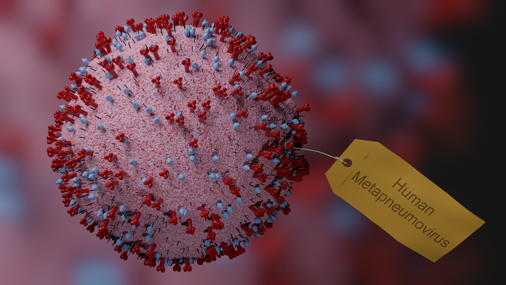 The Impact of Human Metapneumovirus (HMPV) on Respiratory Health