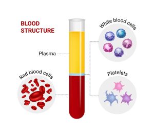 Blood structure