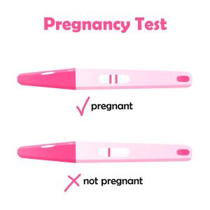 Pregnancy Test